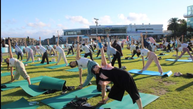 2025 제주 세계요가의날 잔디 광장에서 함께 요가 동작을 하는 시민들